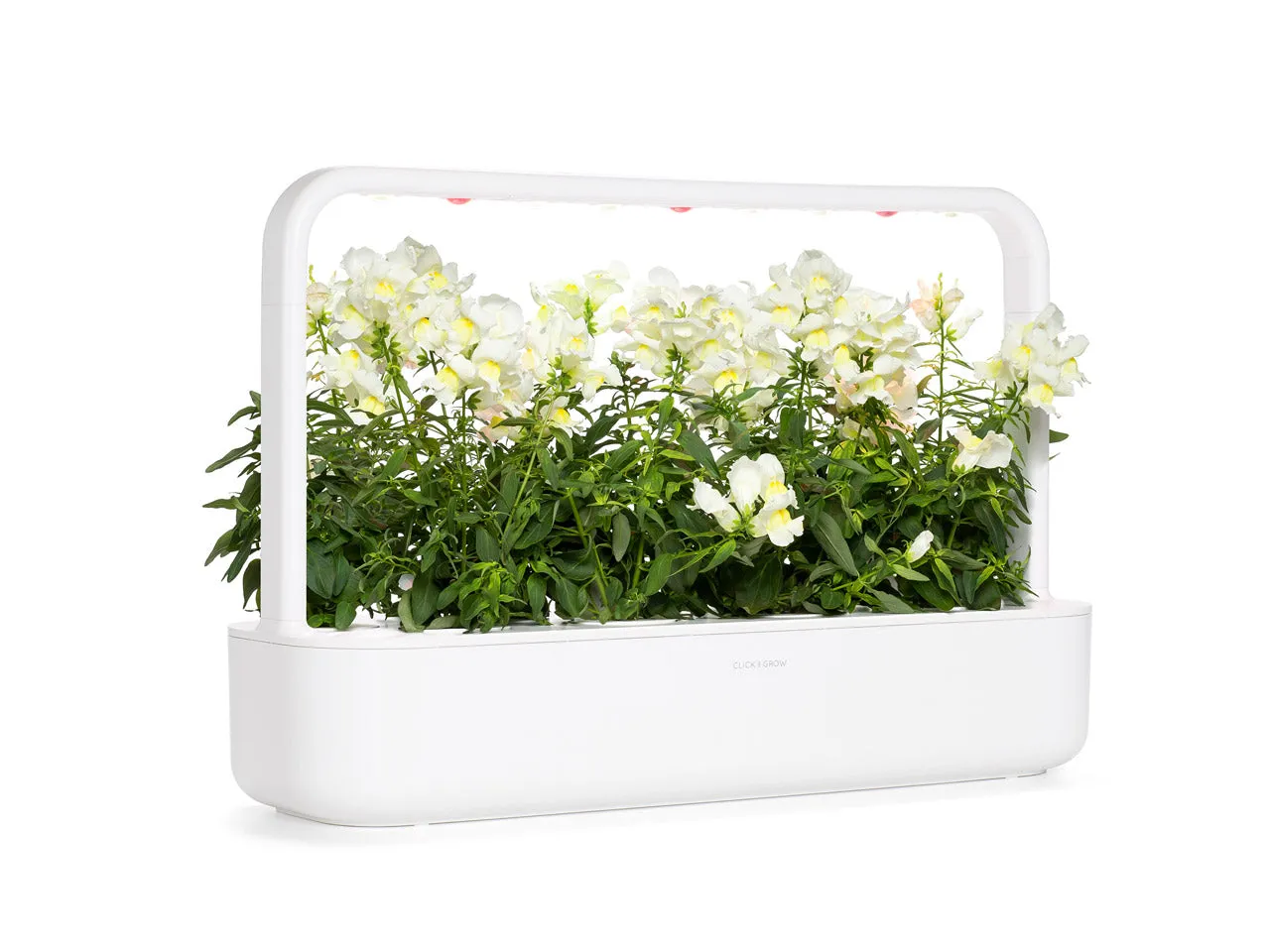 Click and Grow White Snapdragon κάψουλες 3 τεμ λευκό