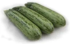 MyAgroMarket Rigas F1 σπόροι κολοκυθιού 1000 σπόροι ανθεκτικό