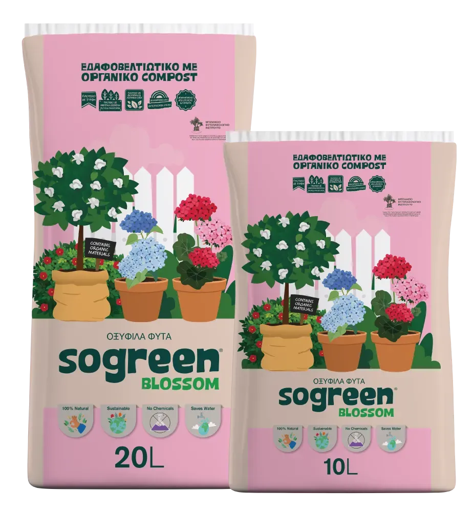 Sogreen Blossom χώμα οξύφιλων για ανθοφορία