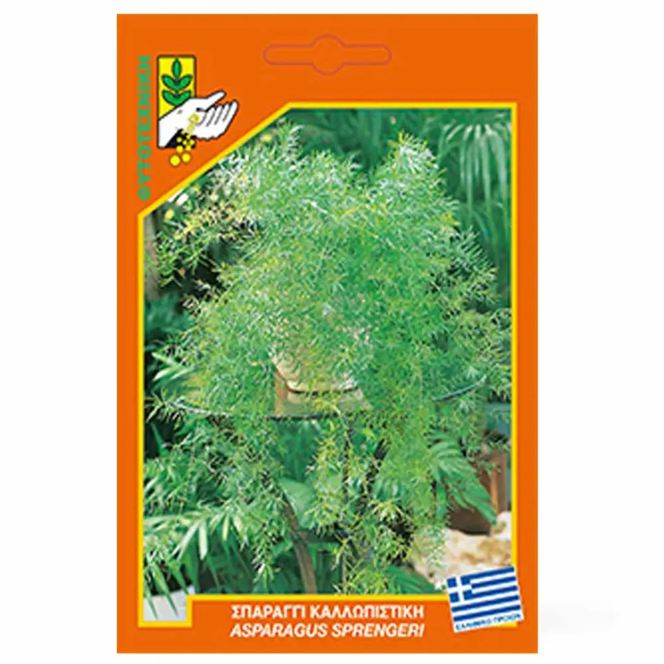 MyAgroMarket Asparagus sprengeri σπαράγγι σπόροι γλάστρας