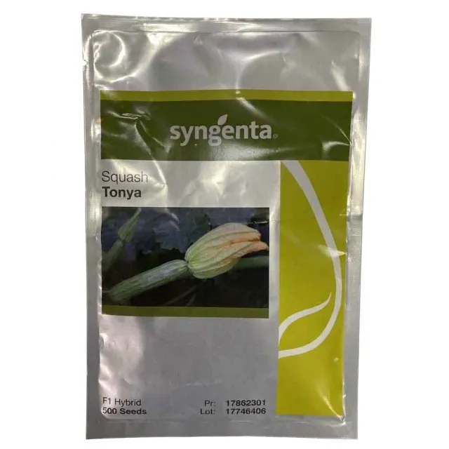 MyAgroMarket Tonya F1 κολοκύθι σπόροι 1000 greyzinni