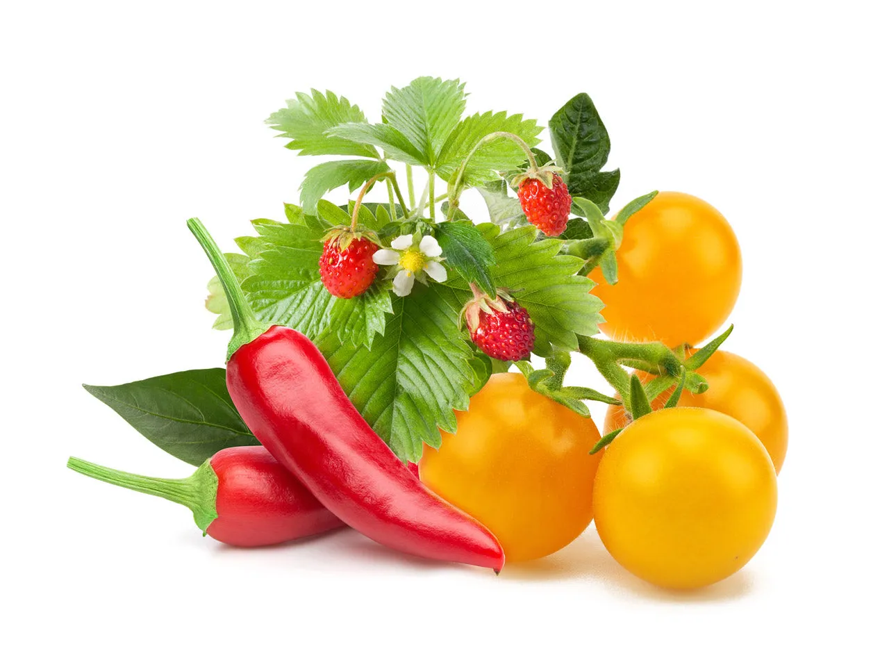 Click and Grow Fruit Veggie Mix κάψουλες 9 τεμ