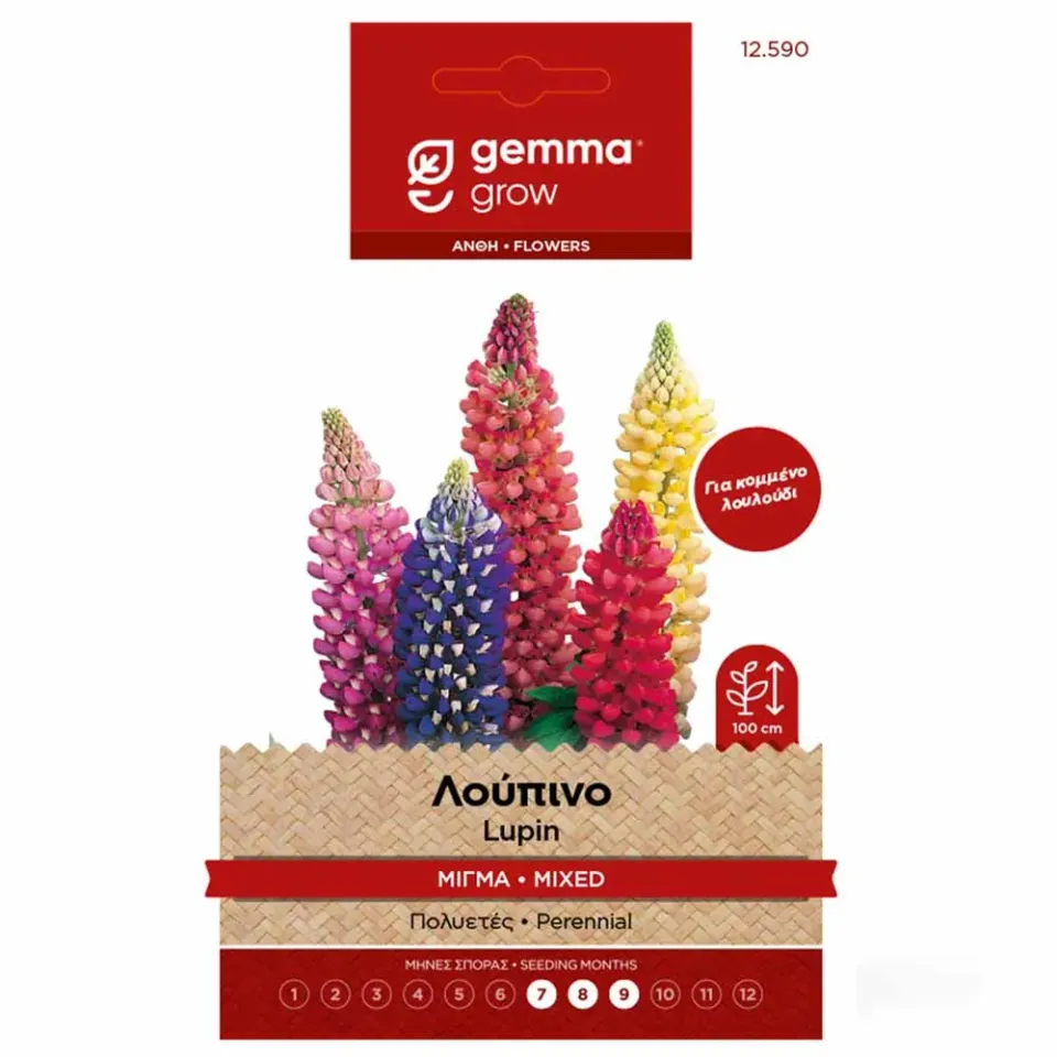 MyAgroMarket Λούπινο μίγμα σπόροι λουλουδιών 0,5gr πολυετές