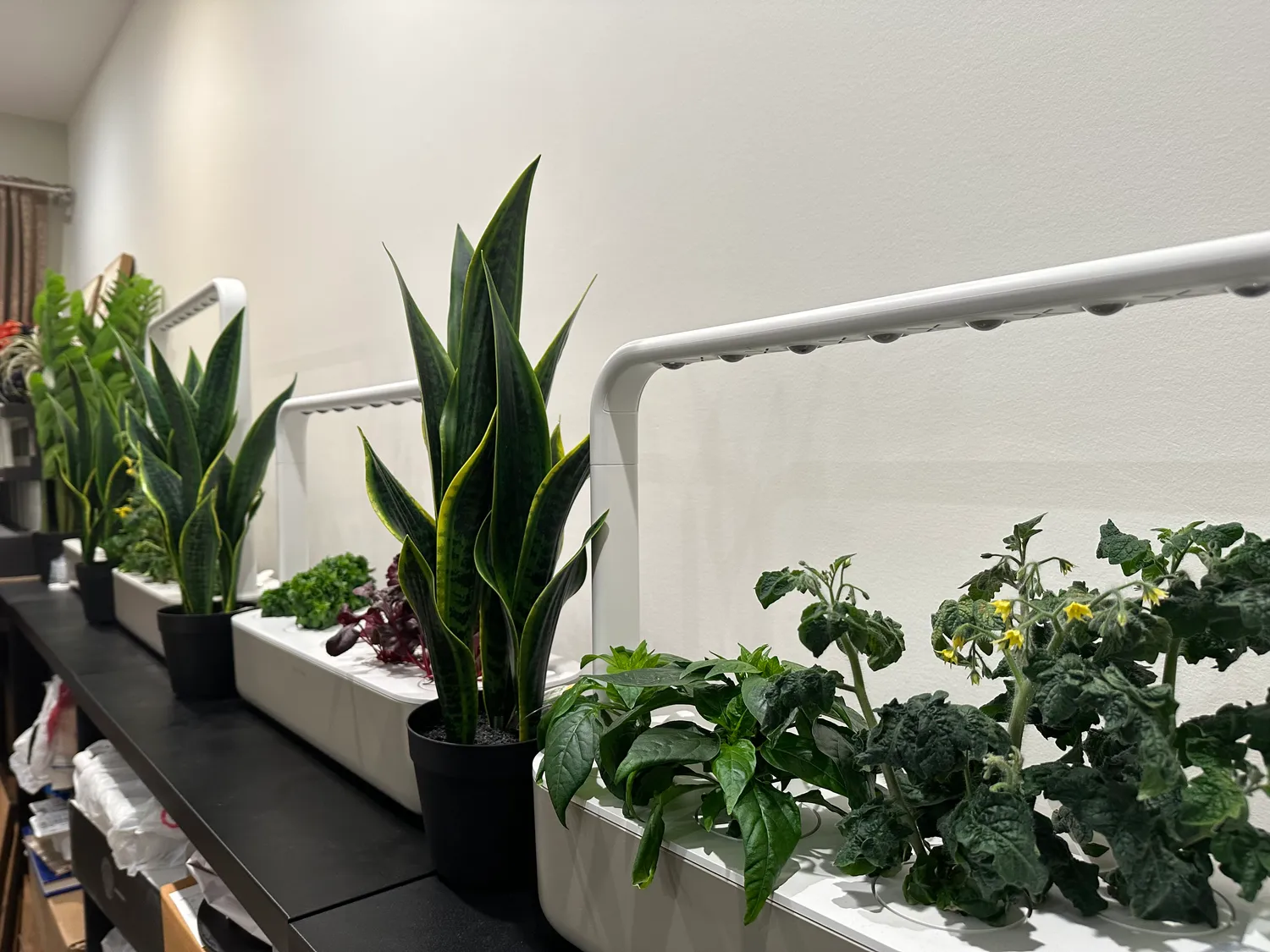 Click and Grow Smart Garden 9 φλοτέρ στάθμης νερού