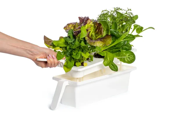 Click and Grow 25 βάση δίσκου πλαστική ανταλλακτική