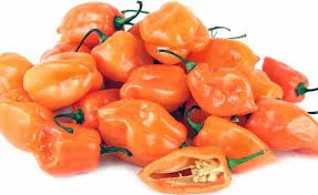 MyAgroMarket Habanero Arancio σπόροι καυτερής πιπεριάς 0,06gr πορτοκαλί