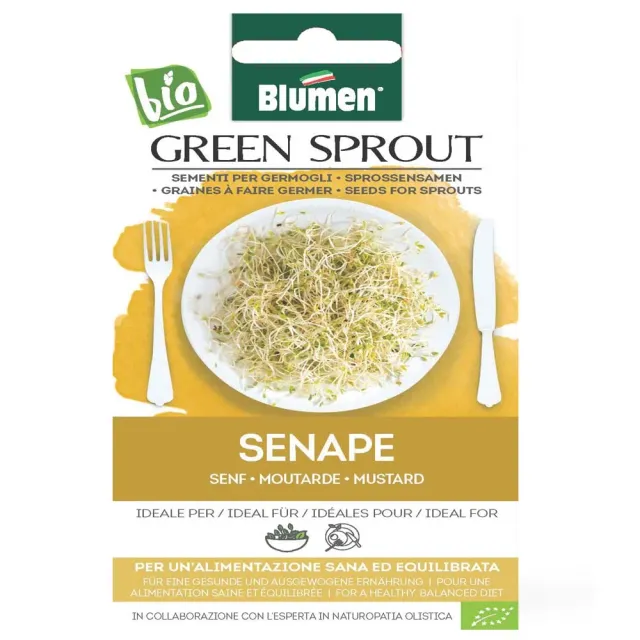MyAgroMarket Σινάπι σπόροι για φύτρα βιολογικοί 35gr