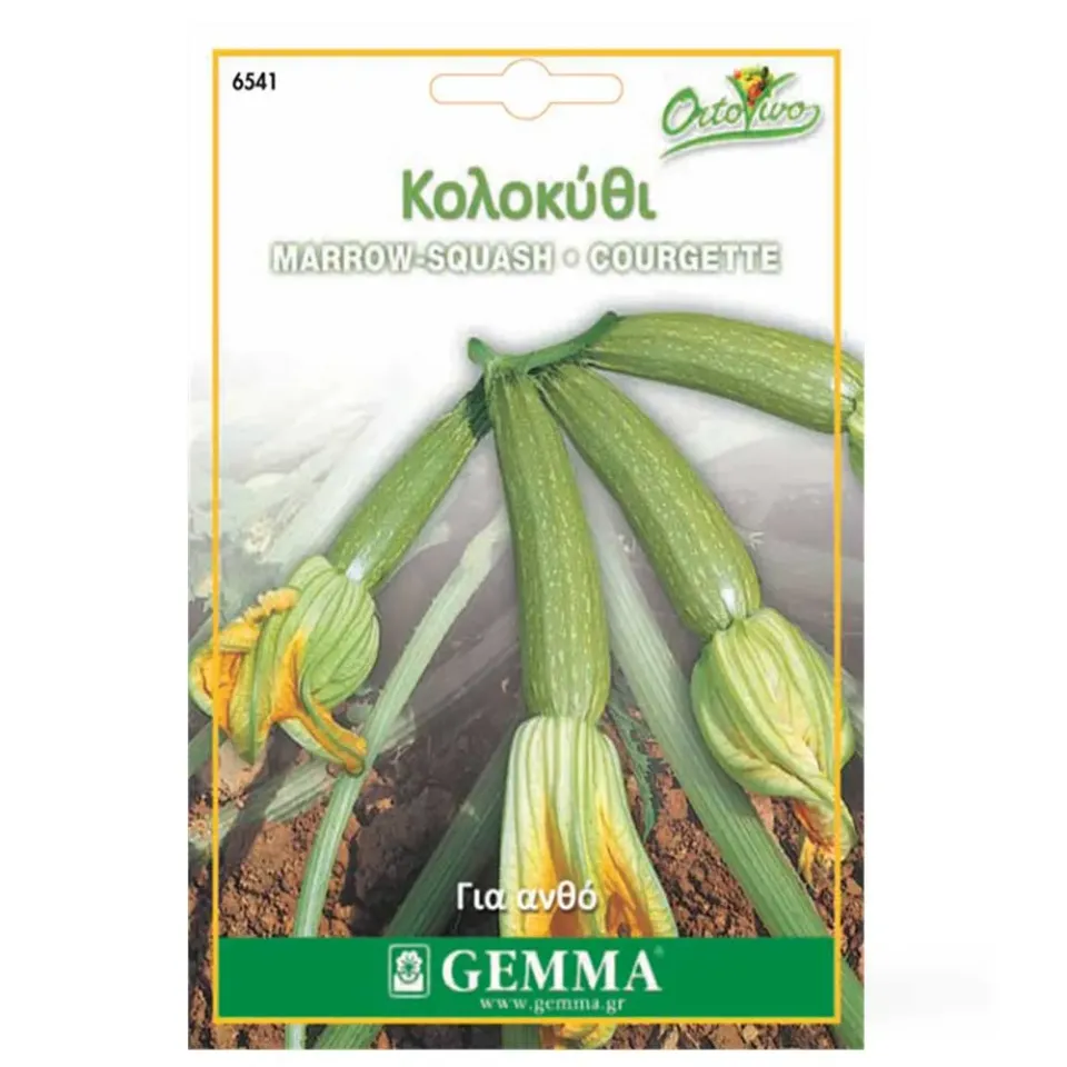 MyAgroMarket Κολοκύθι για Ανθούς σπόροι 5gr