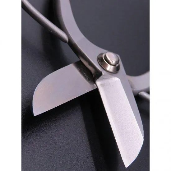 Tanabe Koryu ψαλίδι λουλουδιών ανοξείδωτο 180mm