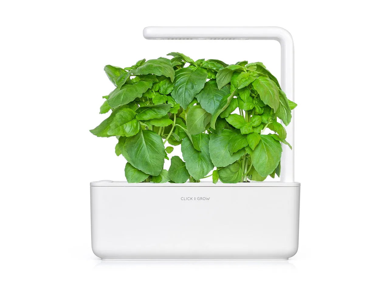 Click and Grow Marseille Basil κάψουλες φυτών 3 τεμ αρωματικός