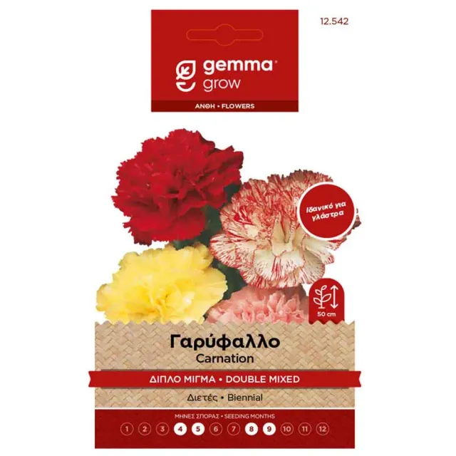 MyAgroMarket γαρύφαλλο διπλό σπόροι λουλουδιών 0,3gr μίγμα