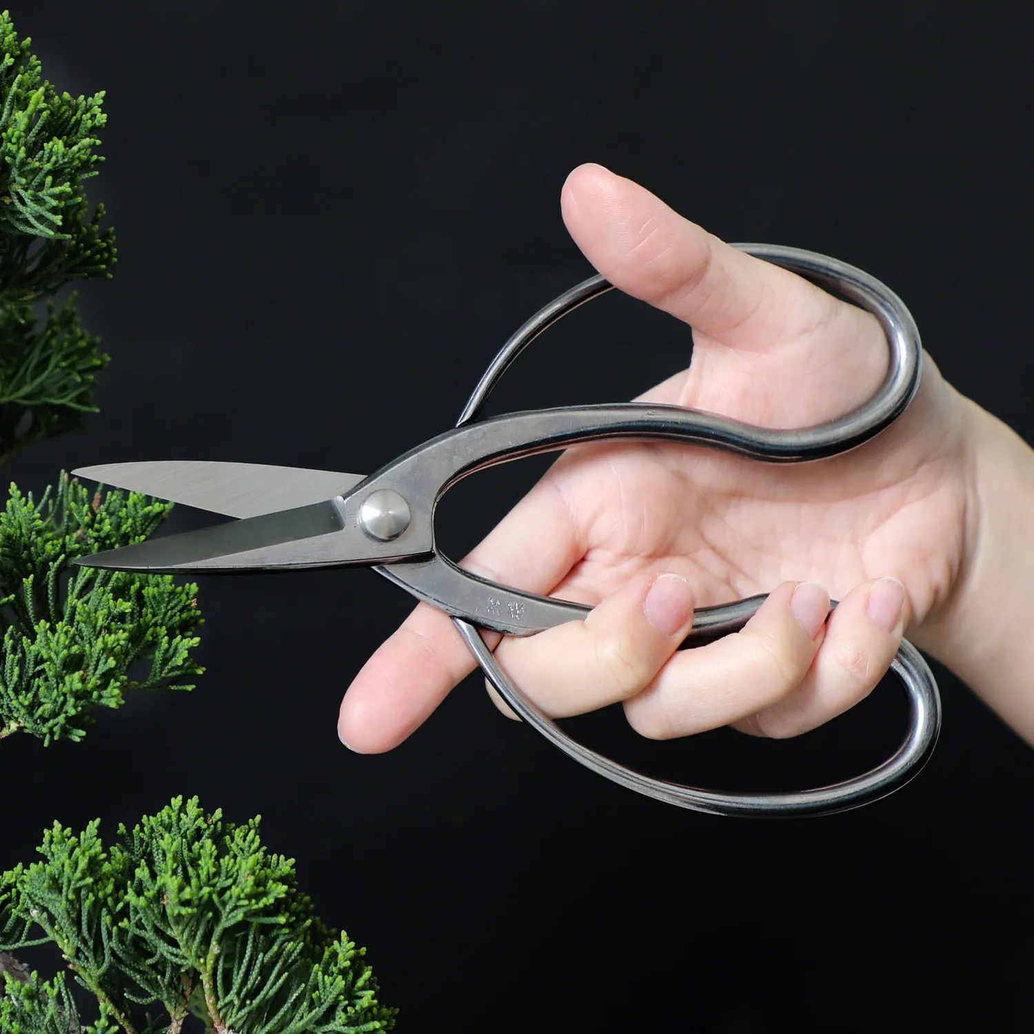 Wazakura Traditional Ψαλίδι Bonsai 180mm Inox