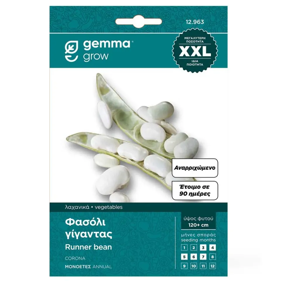 MyAgroMarket Φασόλι Γίγαντας Spagna σπόροι 20gr λευκοί