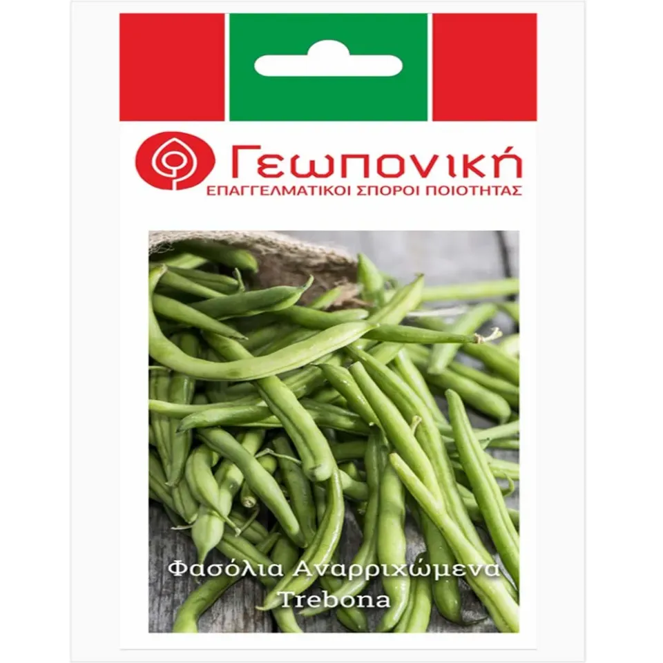 MyAgroMarket Trebona σπόροι φασολιού αναρριχώμενου 25gr πρώιμο
