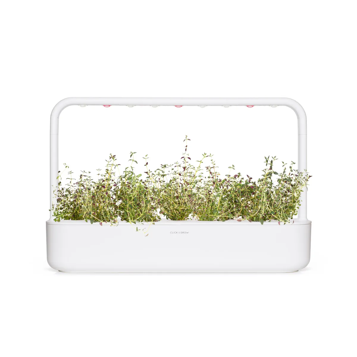 Click and Grow Θυμάρι κάψουλες 9 τεμαχίων αρωματικό