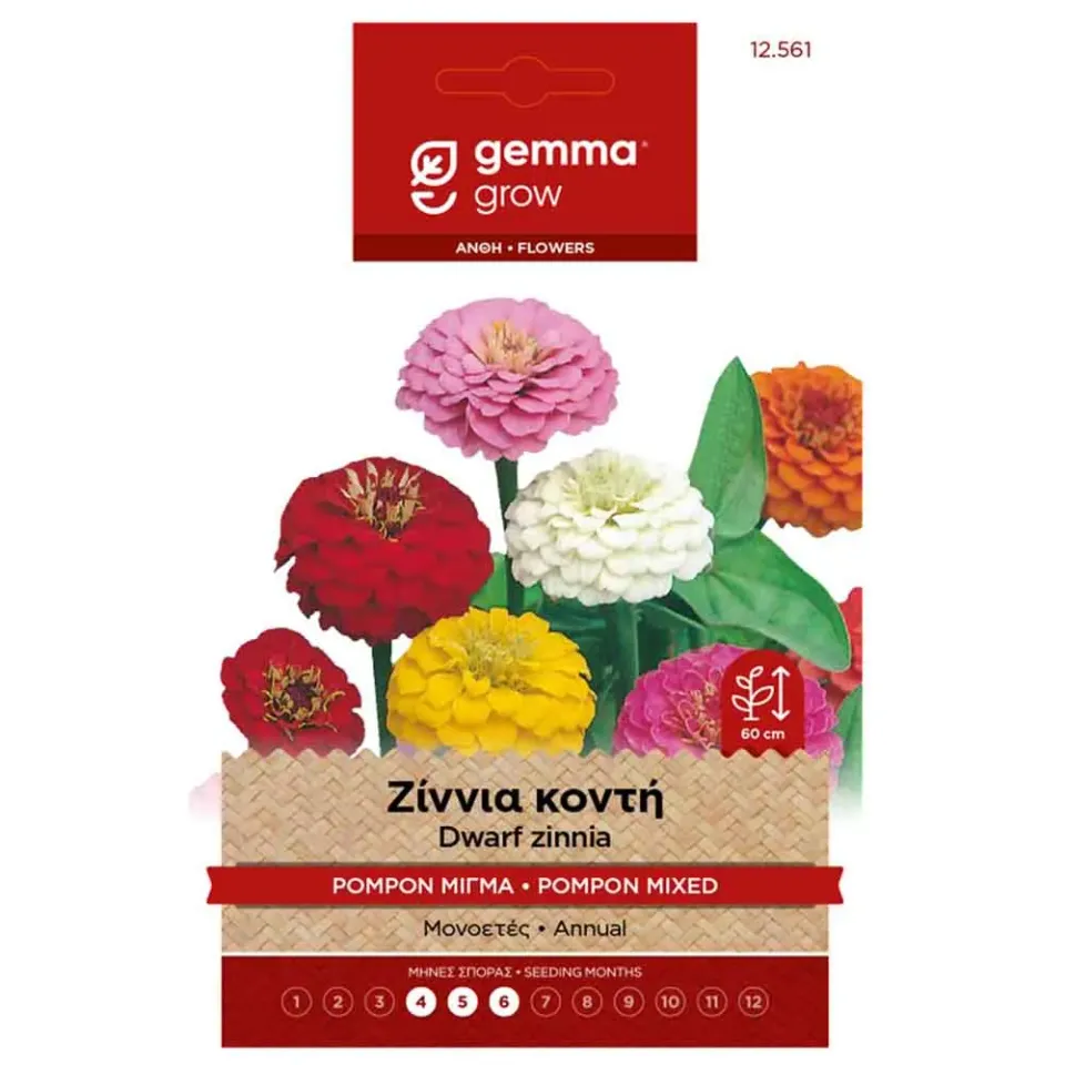 MyAgroMarket Ζίννια Κοντή Pompon Μίγμα Σπόροι 1gr