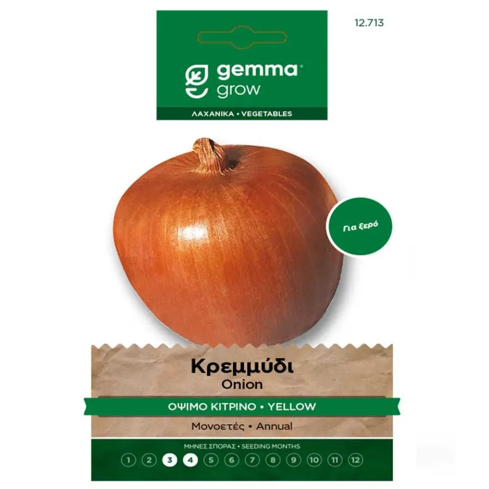 MyAgroMarket Dorata di Parma κρεμμύδι σπόροι κίτρινο 4gr όψιμο