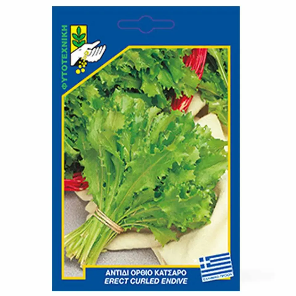 MyAgroMarket Romanesca όρθιο αντίδι σπόροι 20γρ κατσαρό