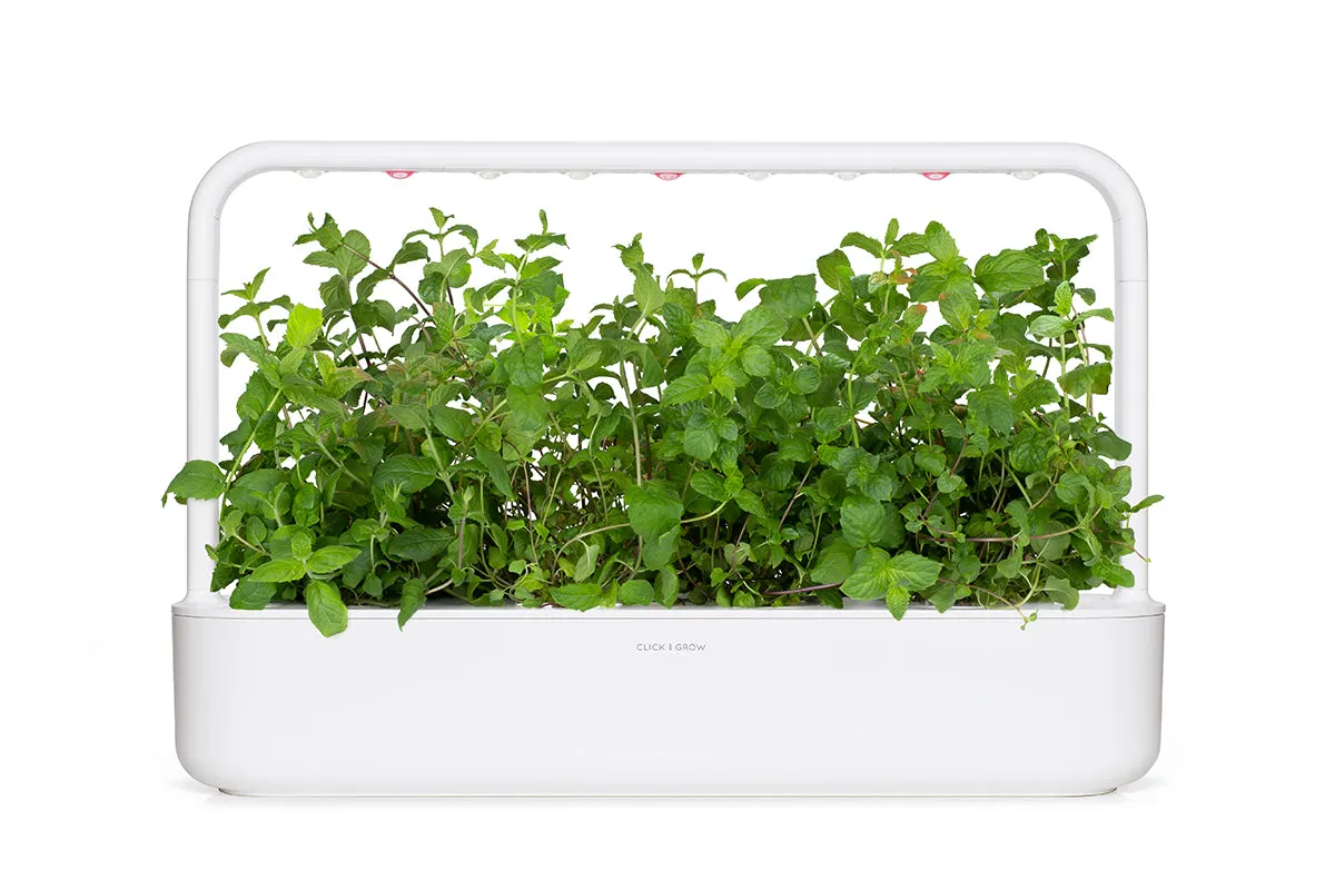 Click and Grow Peppermint κάψουλες δυόσμου 3 τεμ