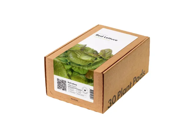 Click and Grow Red Lettuce κάψουλες 30 τεμ κόκκινο μαρούλι