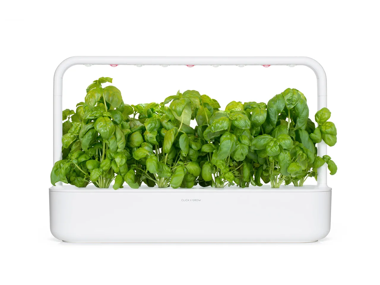 Click and Grow Basil κάψουλες βοτάνου 9-pack κλασικό