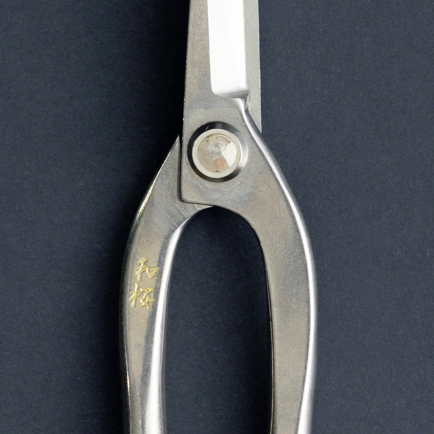 Wazakura Stainless Yasugi Ashinaga ψαλίδι μπονσάι 200mm ανοξείδωτο