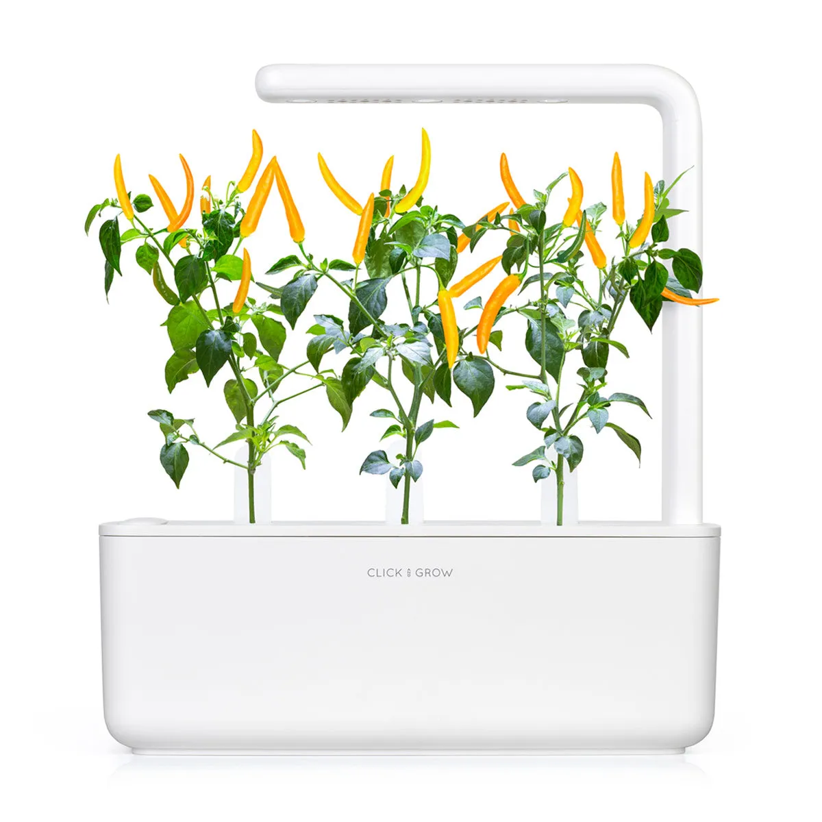 Click and Grow Yellow Chili κάψουλες φυτών 3-pack καυτερή