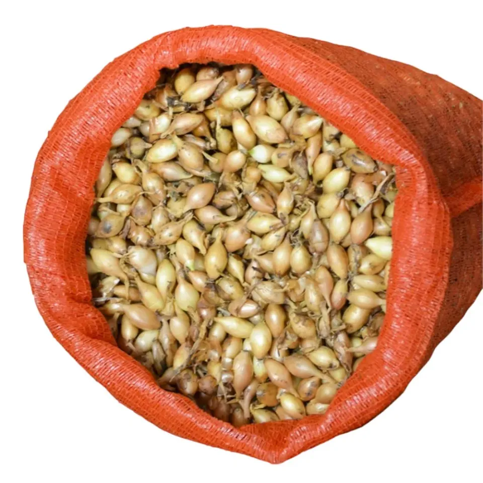 MyAgroMarket Kadmos κοκκάρι μακρύ 14/21 1kg