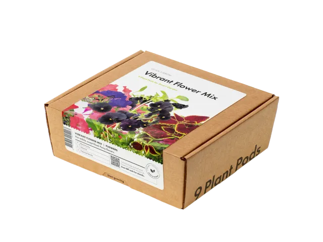 Click and Grow Vibrant Flower Mix κάψουλες 9 τεμ λουλούδια
