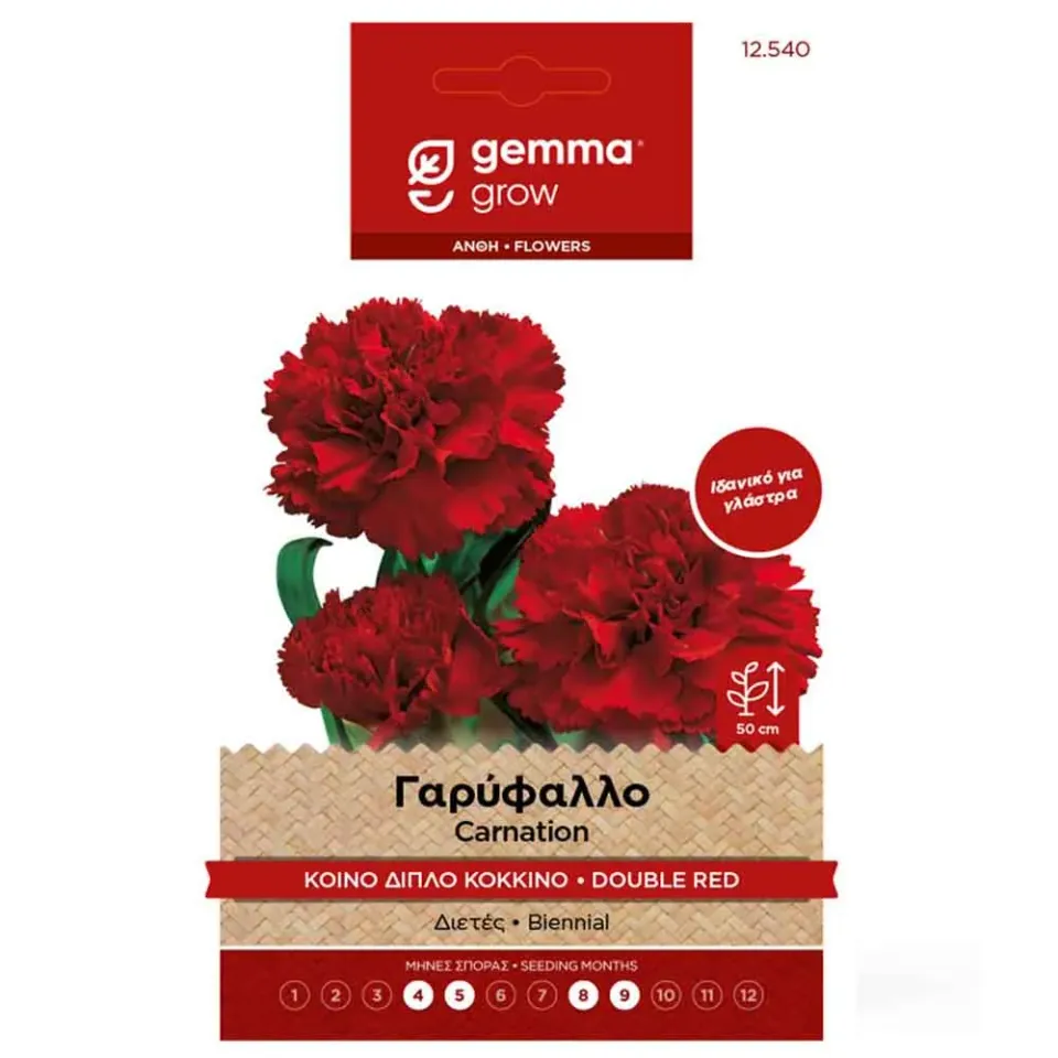 MyAgroMarket γαρύφαλλο διπλό σπόροι κόκκινο διετές