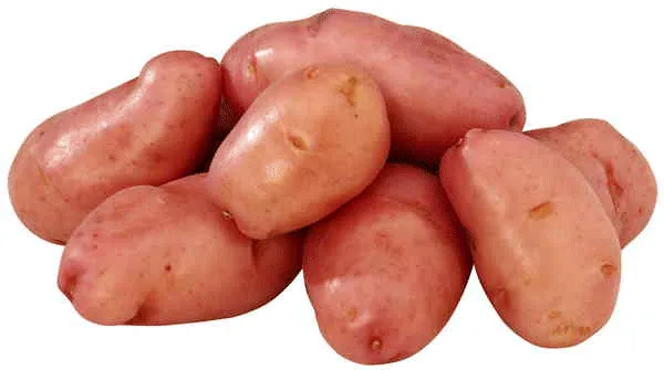Big Rossa πατατόσπορος κοκκινόφλουδη 35/55 1kg γερμανική