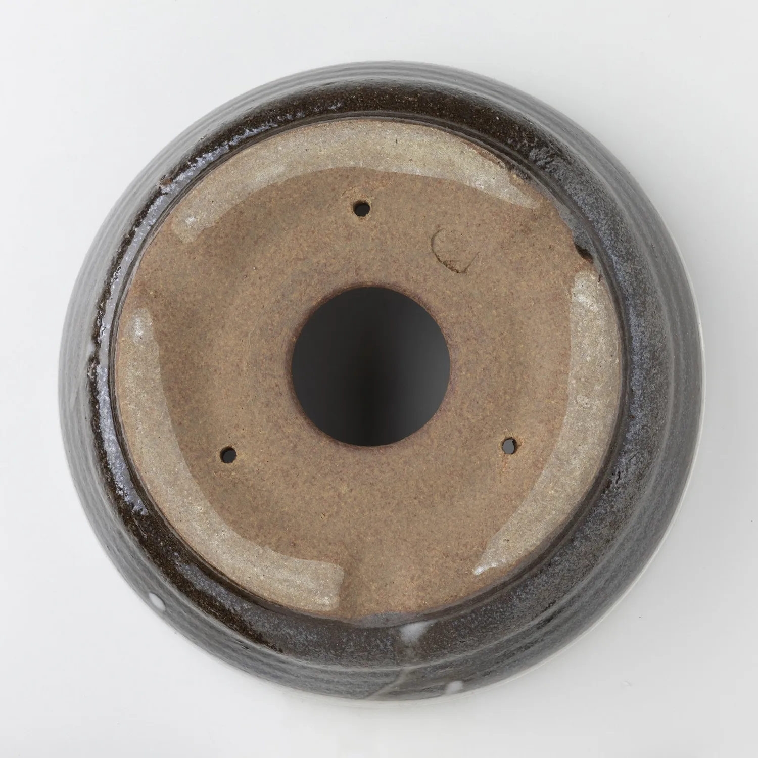 Wazakura Shigaraki γλάστρα μπονσάι 170 mm λευκή ρίγα