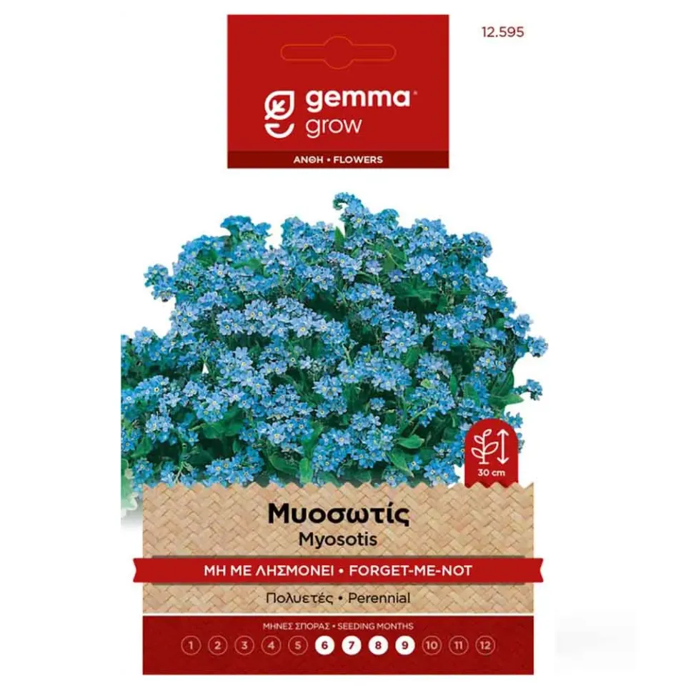 MyAgroMarket μυοσώτις σπόροι 0,3gr πολυετές