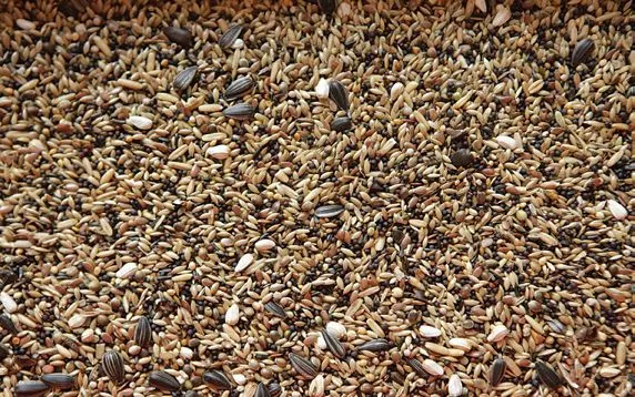 MyAgroMarket τροφή αγριοπουλιών 1kg με 17 σπόρους