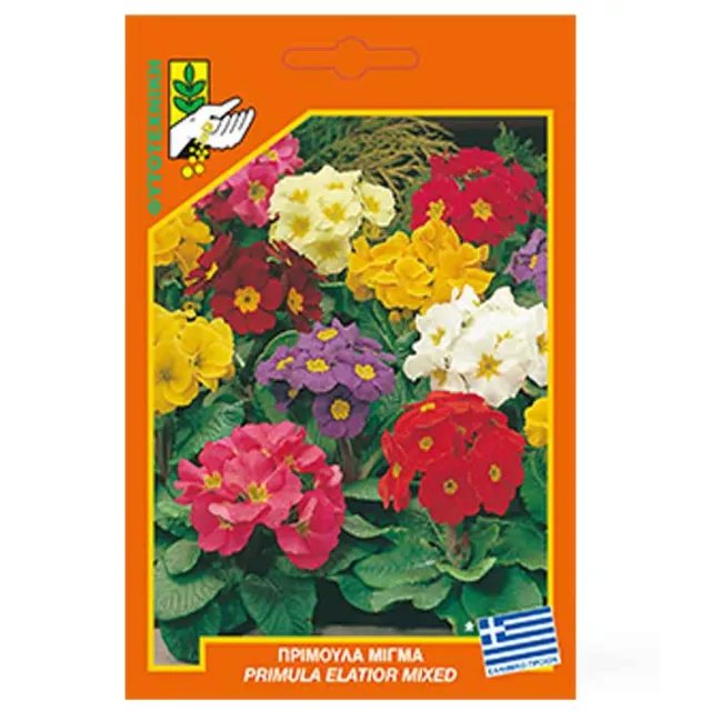 MyAgroMarket Πρίμουλα μίγμα σπόροι λουλουδιών 0,05gr ημισκιά