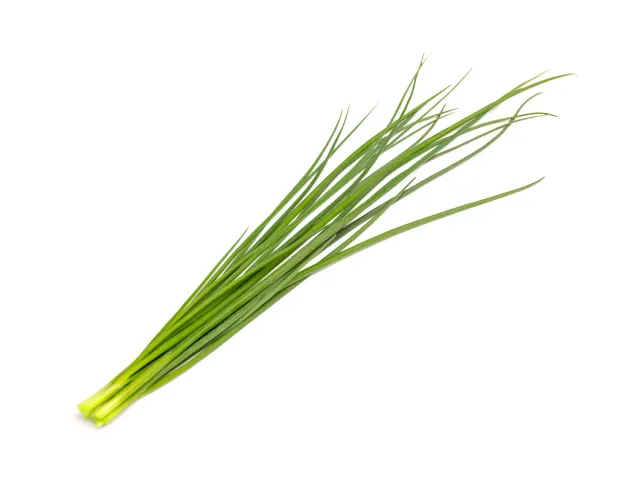 Click and Grow Green Onion κάψουλες φυτών 3 τεμ για φρέσκο