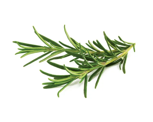 Click and Grow Rosemary κάψουλες φυτών 3-pack αρωματικό