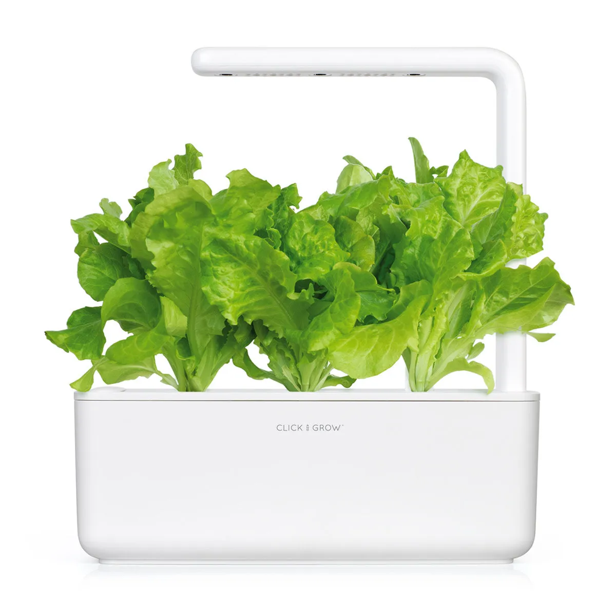 Click and Grow Μαρούλι κάψουλες φυτών 3 τεμαχίων πράσινο