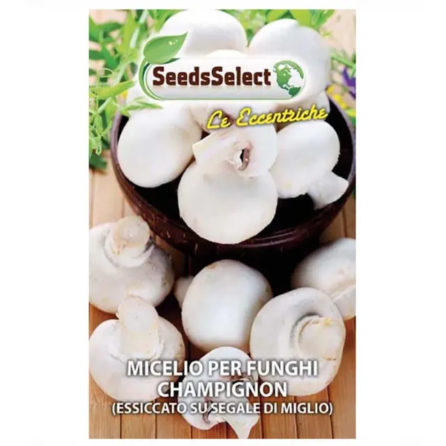 MyAgroMarket Μυκήλιο Champignon 25gr για καλλιέργεια