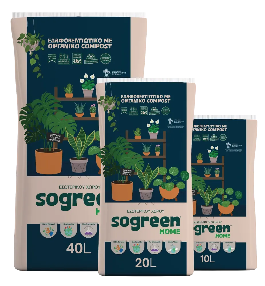 Sogreen Home χώμα εσωτερικού χώρου τροπικά φυτά