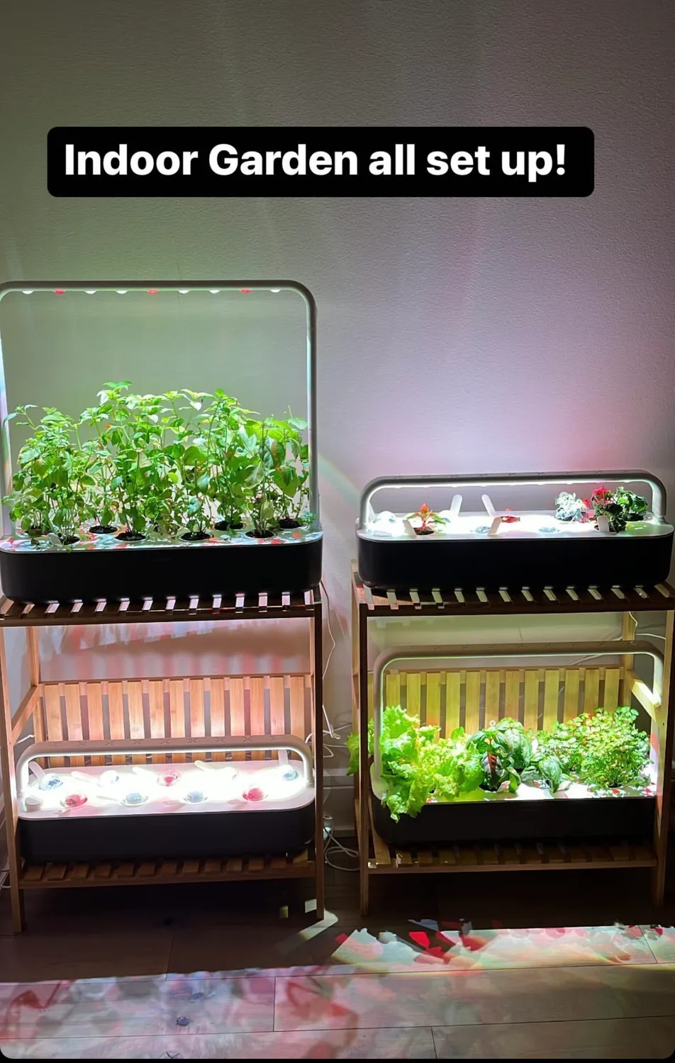 Click and Grow Pro Cups γλαστράκια διάτρητα 9 τεμ ενισχυμένα