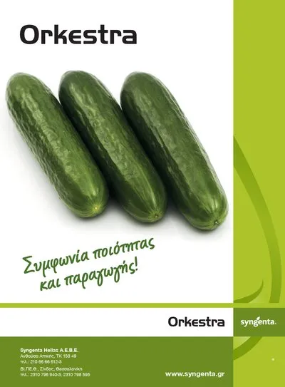 MyAgroMarket Αγγούρι Orkestra F1 σπόροι κοντό 16-19cm