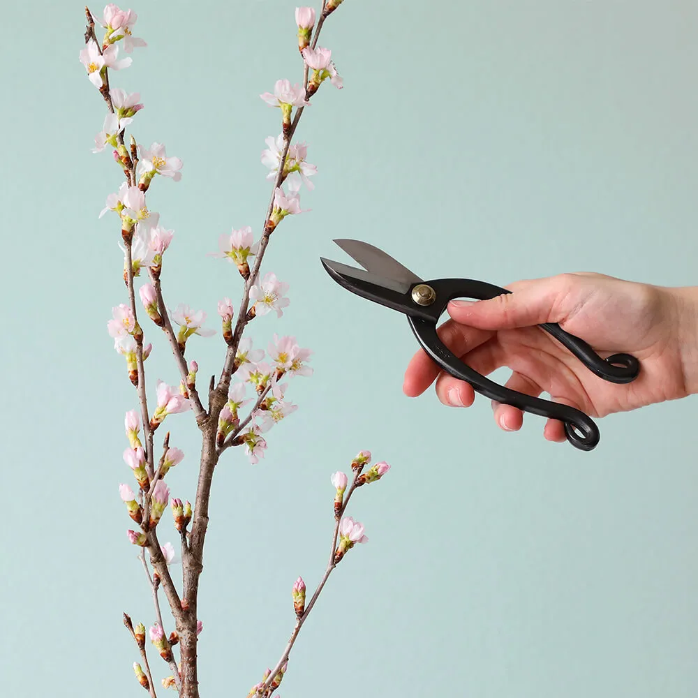 Wazakura Ikenobo Σετ Εργαλείων Ikebana 3τμχ Μαύρο Kenzan
