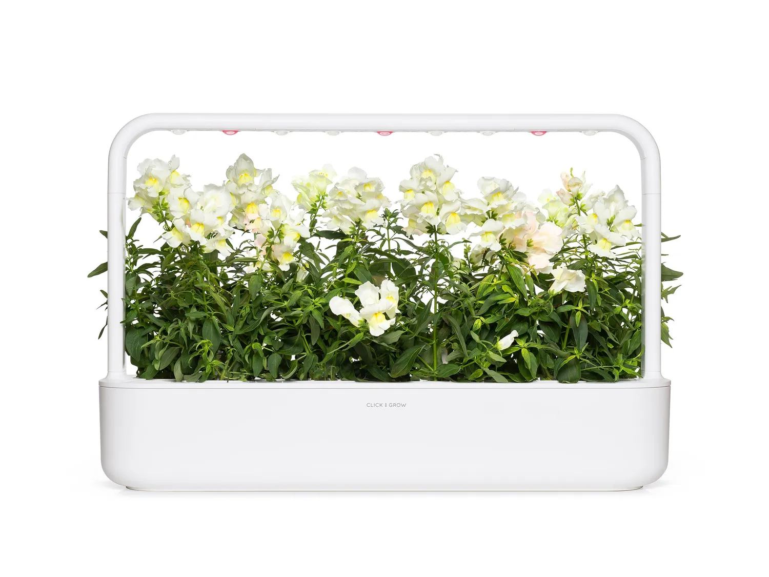 Click and Grow White Snapdragon κάψουλες 3 τεμ λευκό