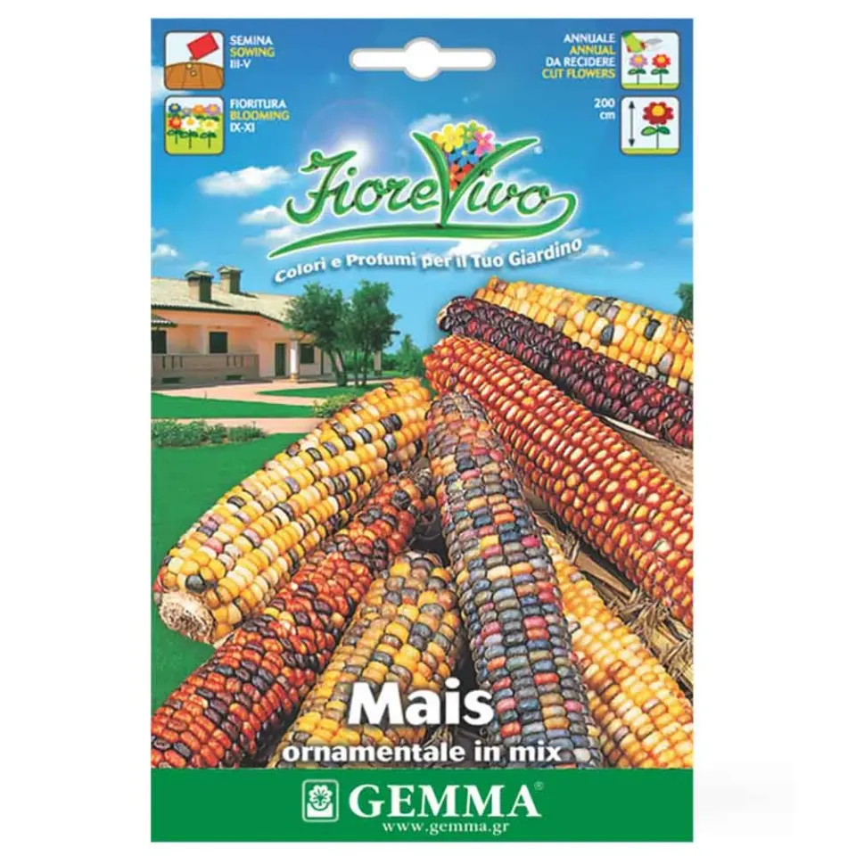 MyAgroMarket Σπόροι καλαμπόκι πολύχρωμο 8gr διακοσμητικό