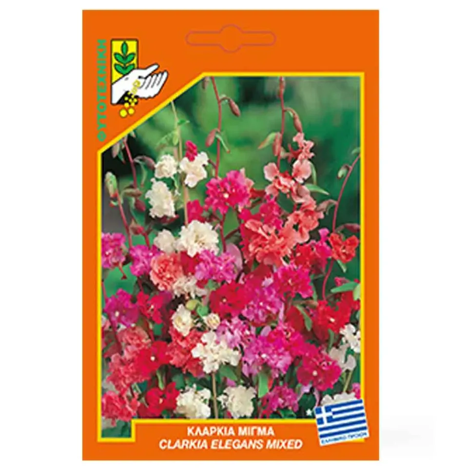 MyAgroMarket Clarkia elegans σπόροι κλάρκια 1gr μίγμα