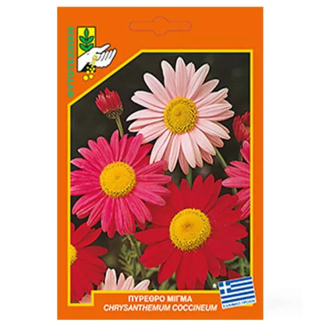 MyAgroMarket Πύρεθρο σπόροι μίγμα Chrysanthemum 0,5gr