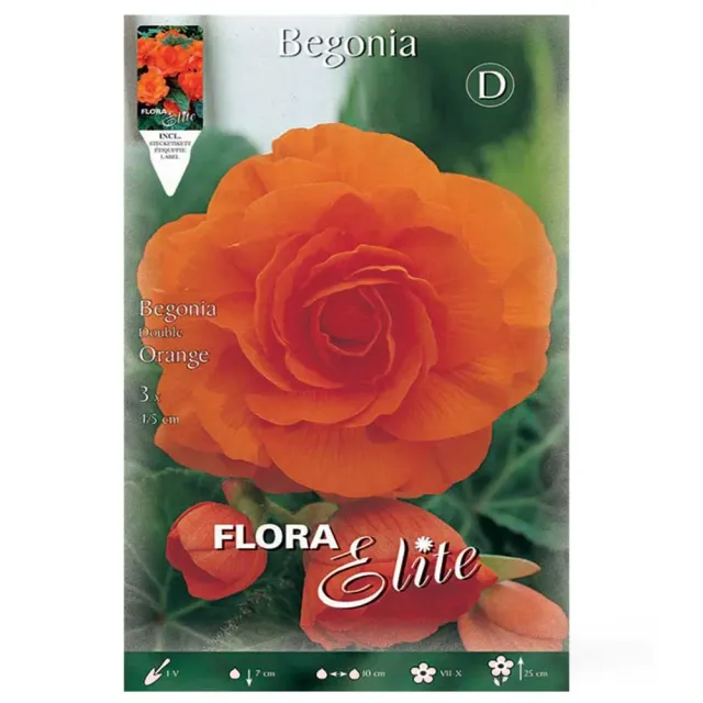 MyAgroMarket Μπιγκόνια βολβοί πορτοκαλί 3 τεμ 5/6