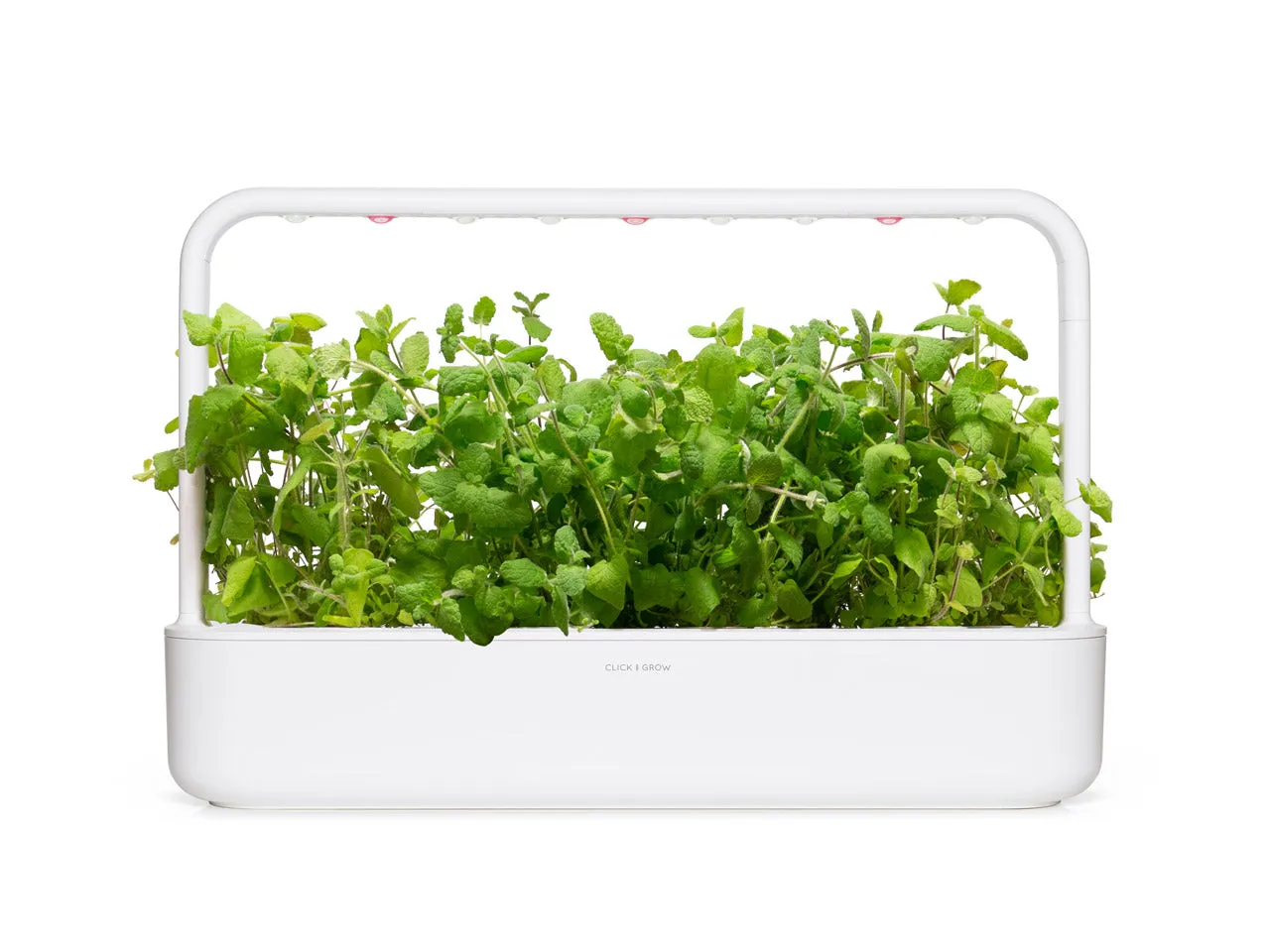 Click and Grow Apple Mint κάψουλες βοτάνου 3 τεμάχια