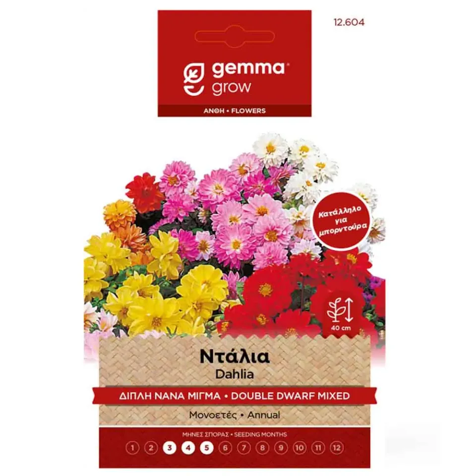 MyAgroMarket διπλή μίγμα ντάλια σπόροι 0,5gr μπορντούρα